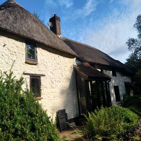 The Woodstore Dunkeswell Exterior photo